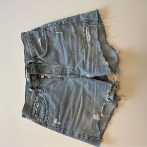 Agolde Parker Shorts